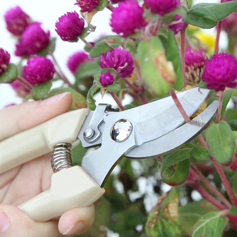 Kéo cắt cành cây, kéo tỉa cây cảnh cây ăn quả bền sắc