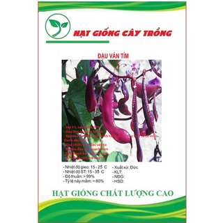 Hạt giống đậu ván tím f1 ct158 - gói 5 hạt