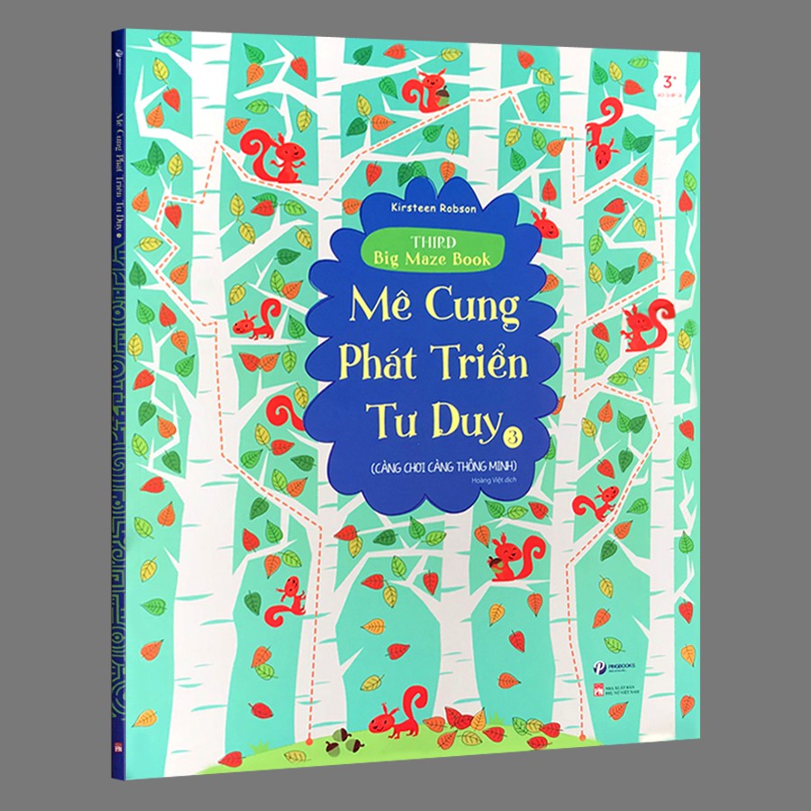 Sách - Mê cung phát triển tư duy - tập 3