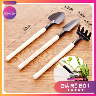 Dụng cụ làm vườn mini