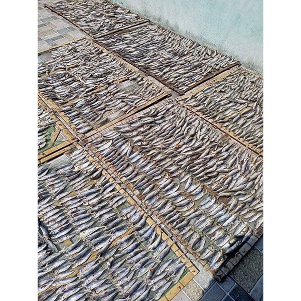 1kg cá nục (cá mu) luộc phơi khô Hà Tĩnh