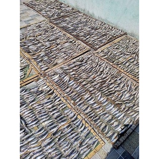 1kg cá nục (cá mu) luộc phơi khô Hà Tĩnh
