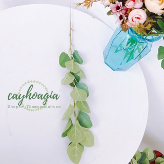 Cây Giả - Cành Lá Giả Điểm Cắm Hoa ( lá táo tròn)