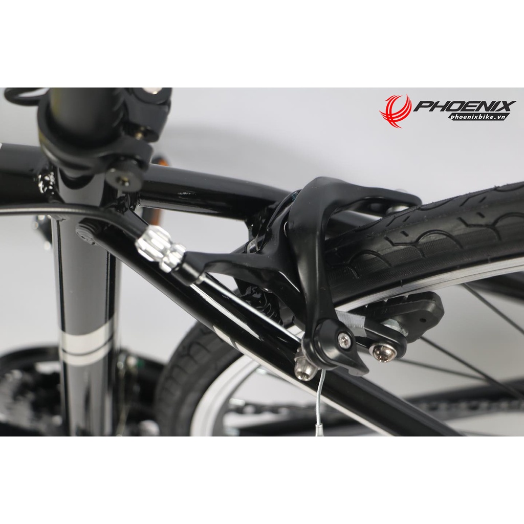 Xe đạp đường trường 700C Califa Louis 200