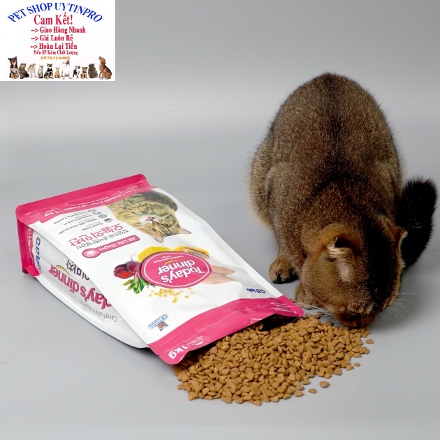 Thức ăn hạt hỗn hợp hoàn chỉnh cho Mèo trên 3 tháng Today's Dinner Gói 1kg Xuất xứ Hàn Quốc. Bổ sung dinh dưỡng cho Mèo