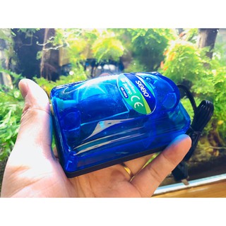 Sủi Oxy Sobo