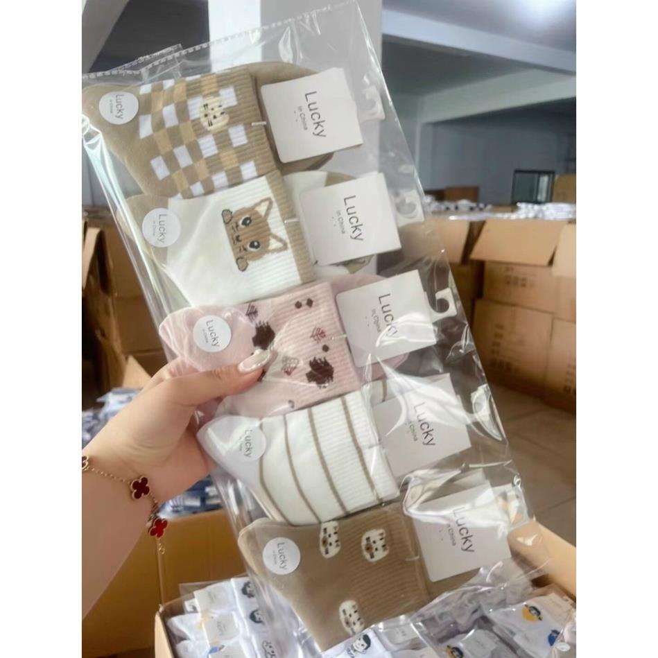 Giá rẻ sỉ Combo 2 Đôi Vớ Tất Nữ Cổ Cao Hàng Xịn Kèm Tag Hàng Loại 1