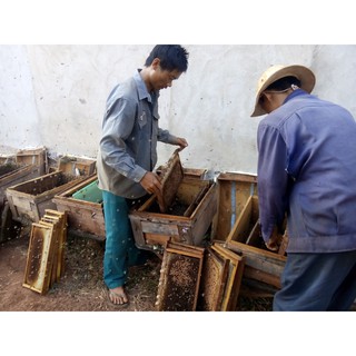 Combo 5lit mật ong cà phê