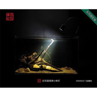 Đèn Led Rọi Cho Cá Cảnh