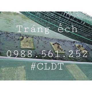 Tráng nuôi ốc ếch cá 3*2m cao 1.5m - chuyên dụng -mùng thả cá, lươn trạch...