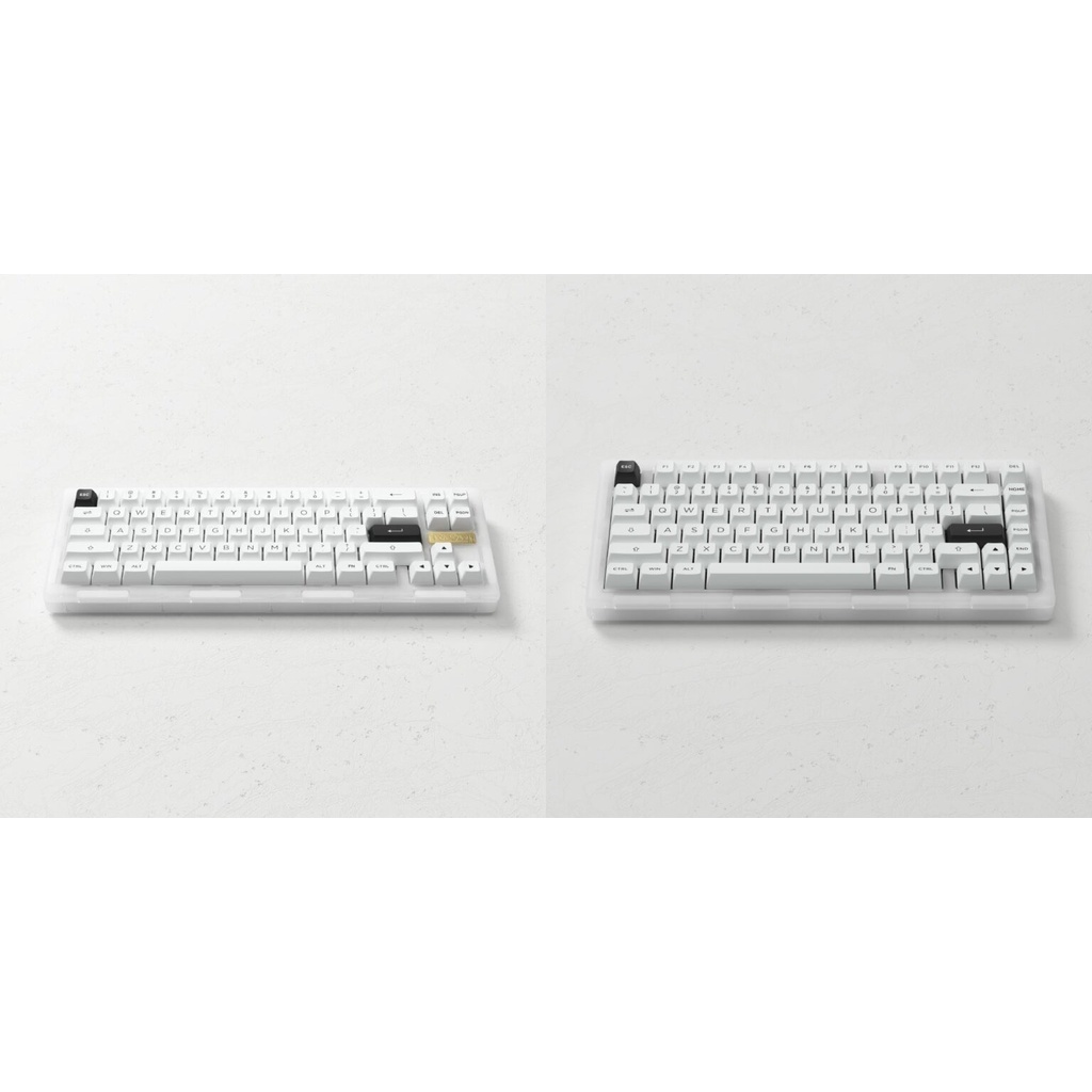 Bàn phím cơ Akko ACR Pro 68|75 (led RGB| Hot-Swap| Switch Akko Crystal| Gasket Mount) CHÍNH HÃNG