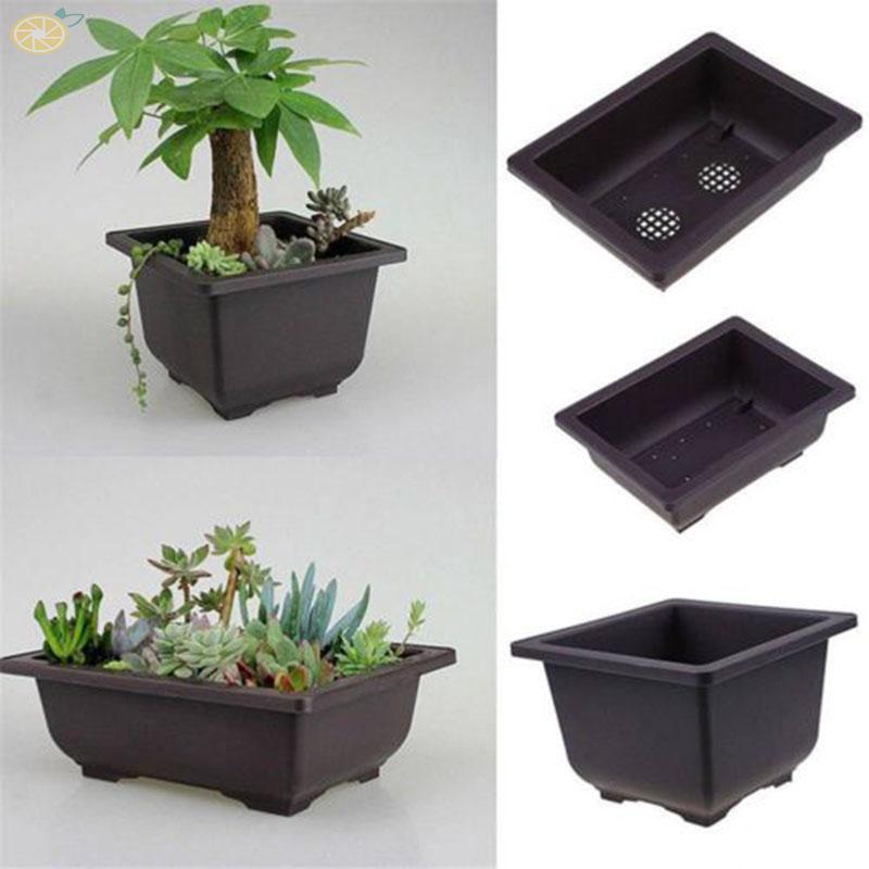 Chậu trồng cây cảnh nhiều kích thước và kiểu dáng dùng trang trí chất lượng cao