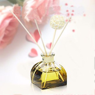 Lọ Tinh Dầu Khuếch Tán Que Leviter