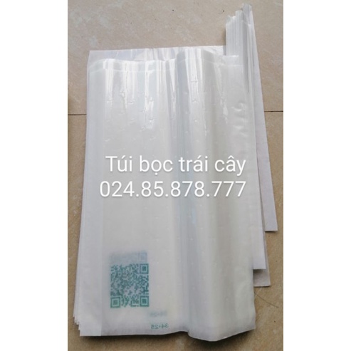 100 TÚI BỌC TRÁI NHO HÀNG CHUẨN  34cm*25cm
