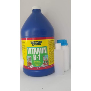 Phân bón western states vitamin b1 100ml - usa