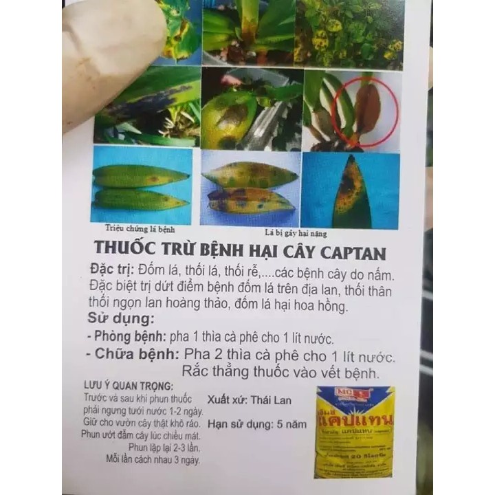 (Lọ to 100gr) Đặc trị nấm ,thối nhũn của Lan ,đốm lá của hoa Hồng hàng nhập thái lan
