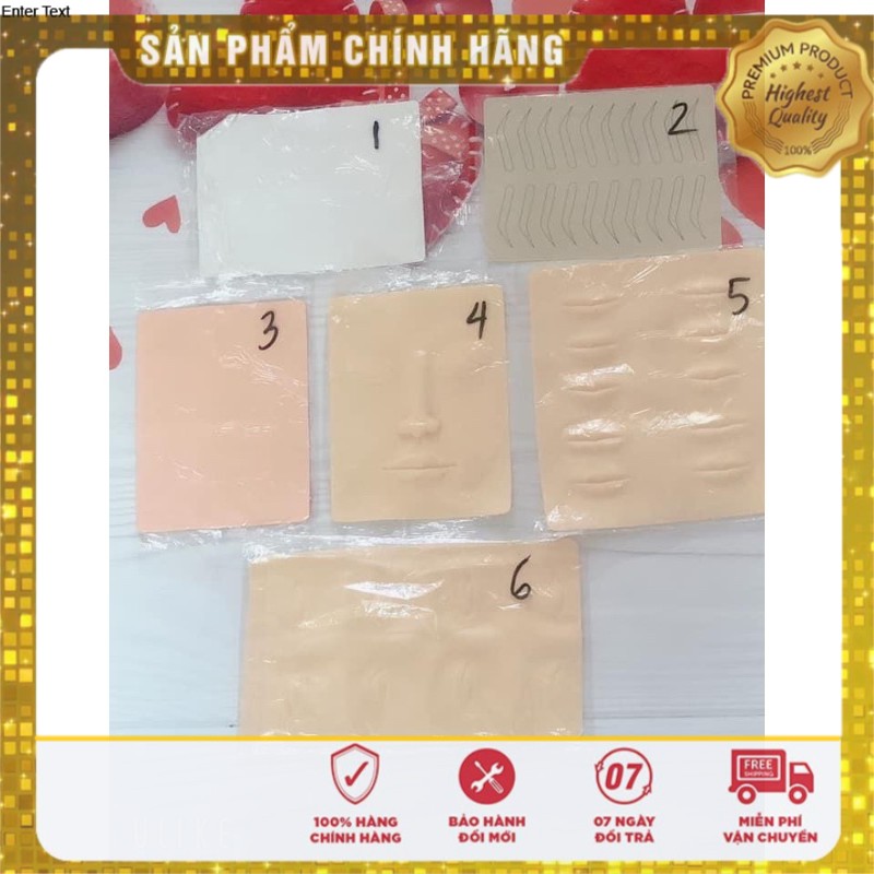 Da Giả Học Phun Xăm Đầy Đủ Các Loại Phù Hợp Với Kỹ Thuật DCPX-NTA