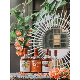 Trái Cây Lên Mem Nhiều Hương Vị - Mầm