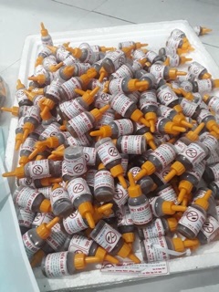 Thuốc diệt gián kiến sinh học( không độc hại)