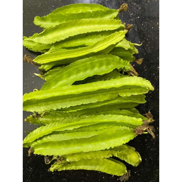 1 Gr HẠT GIỐNG ĐẬU RỒNG