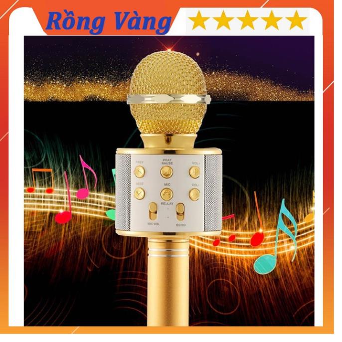Micro Karaoke Bluetooth SSR WS-858 Mic hát karaoke Chất Lượng Cao 6 In 1 (LA7395)