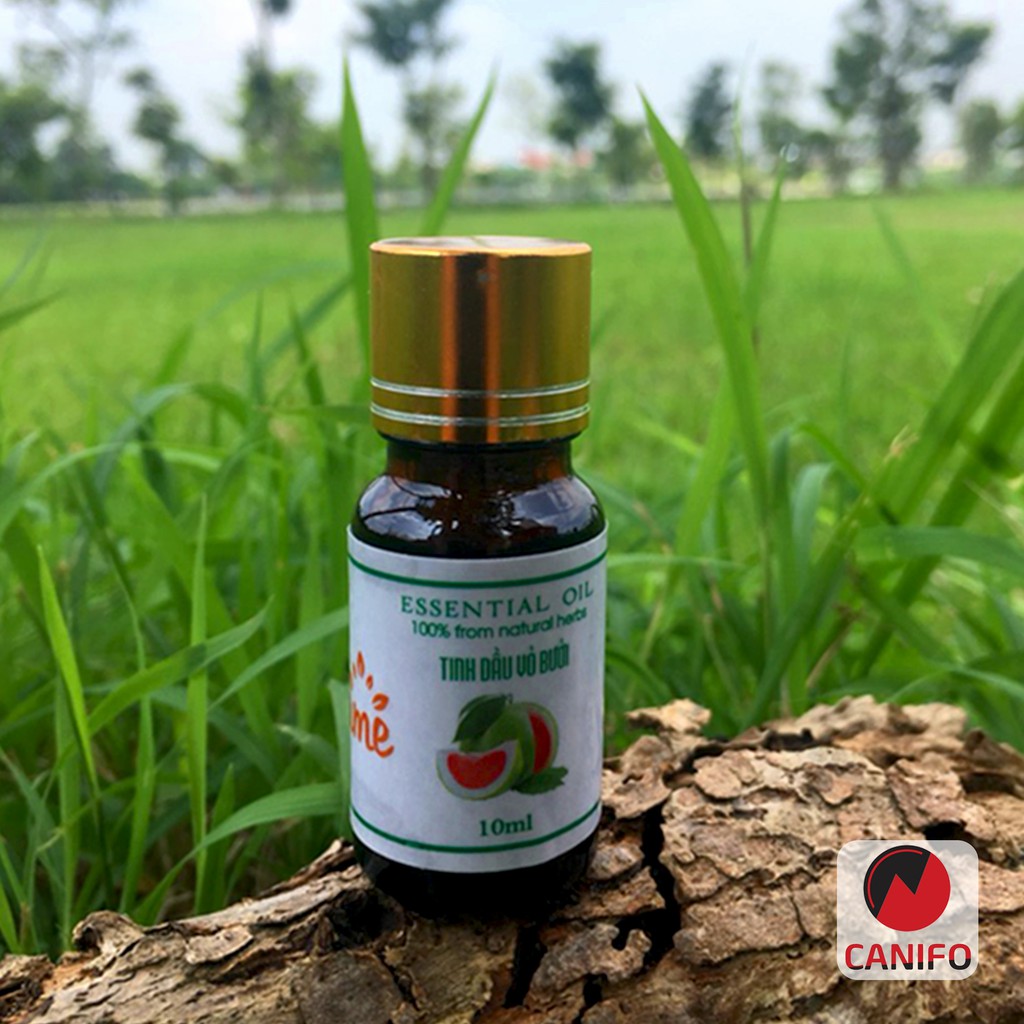 Tinh dầu VỎ BƯỞI CANIFO 10ml,  tinh dầu thiên nhiên nguyên chất, tinh dầu dưỡng tóc, thơm mát, sang trọng