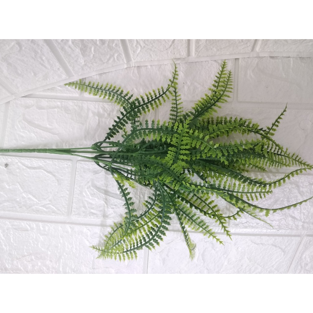 Cụm dương xỉ 7 nhánh trang trí