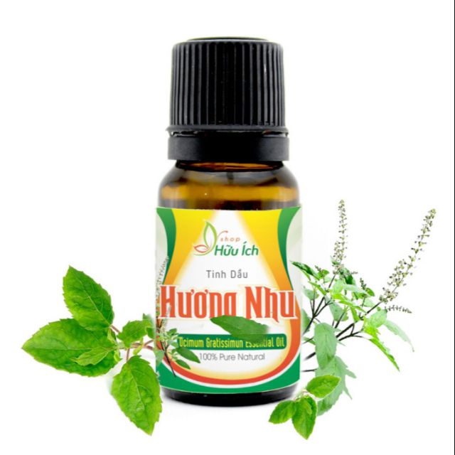 Tinh dầu Hương Nhu 10ml nguyên chất không pha