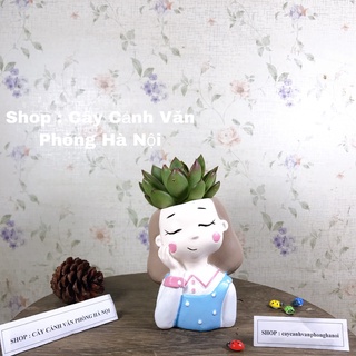 hoa sen đá cây cẩm nhung kèm chậu cô gái áo xanh cúc hồng
