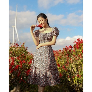 Olv - đầm dahlia square neck dress