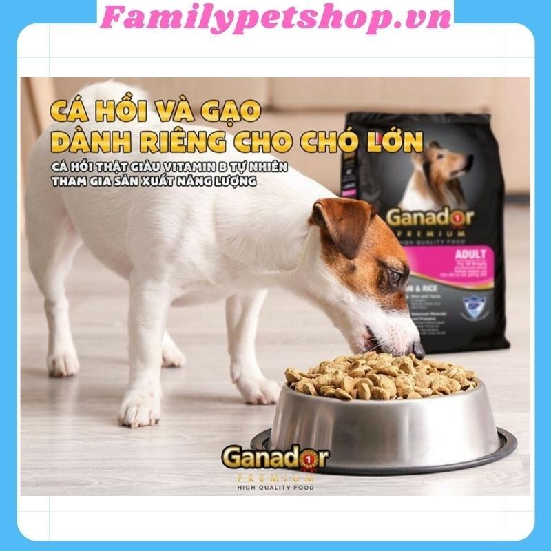 Thức ăn cho chó nhỏ và chó trưởng thành Ganador - đồ ăn cho hạt cho chó-400g-familypetshop.vno