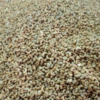 Điều rang muối