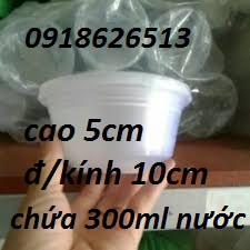 50 cái Hộp nhựa hình tròn có nắp