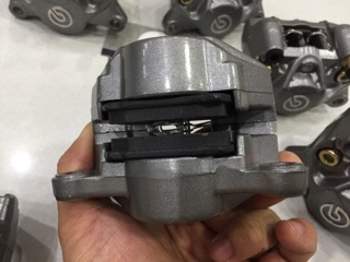 Sỉ Heo Brem bo logo nhỏ 1 bis đối xứng F1:1 - giá 1 con chưa pass heo