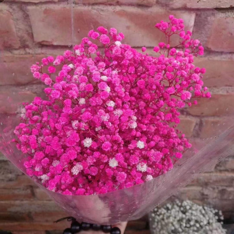 Hoa khô baby tông màu hồng - Hoa khô decor trang trí phòng khách, làm đồ handmade
