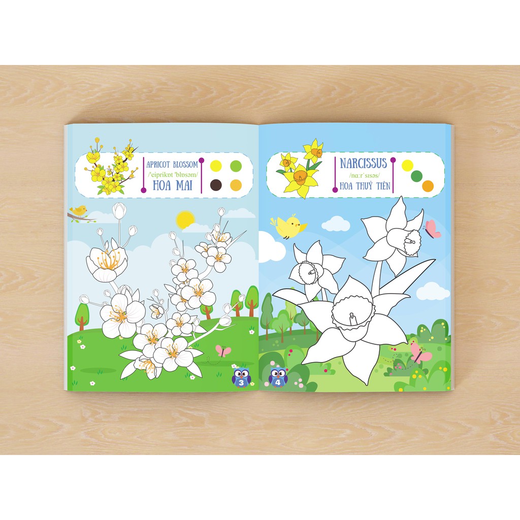 Sách - Tập Làm Họa Sĩ - Những Đóa Hoa Rực Rỡ