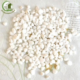 1kg đá sỏi màu trắng vừa - đá  trang trí trồng cây - trang trí bể cá - sân vườn