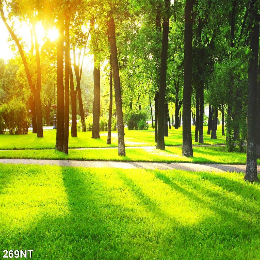 TRANH DÁN TƯỜNG 3D PHONG CẢNH,CẢNH VẬT, CẢNH TRANG TRÍ,THIÊN NHIÊN.