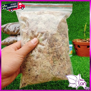 Dớn Trắng Chile ⚜️FREESHIP⚜️ Rêu Chile Túi 200g  Giữ Ẩm Cực Tốt Cho Lan  [Nhập Khẩu]