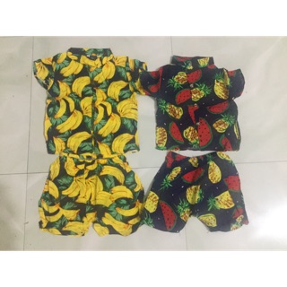 Combo 6 bộ trái cây