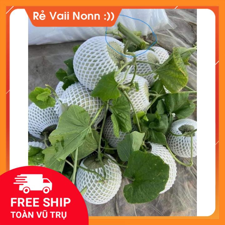 1kg xốp 22cm bọc trái cây