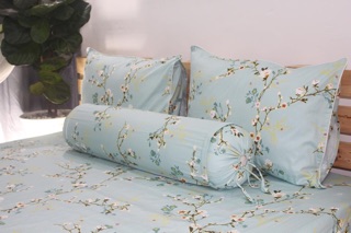 Bộ Drap 100% Cotton