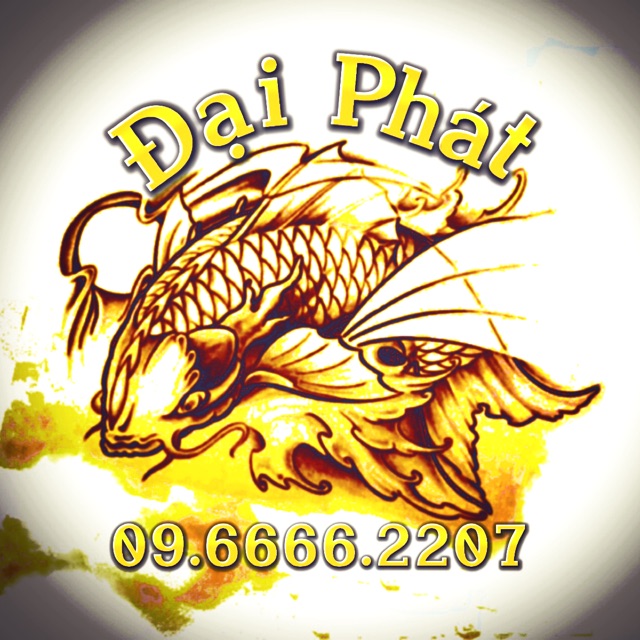 DuyPhatFishing