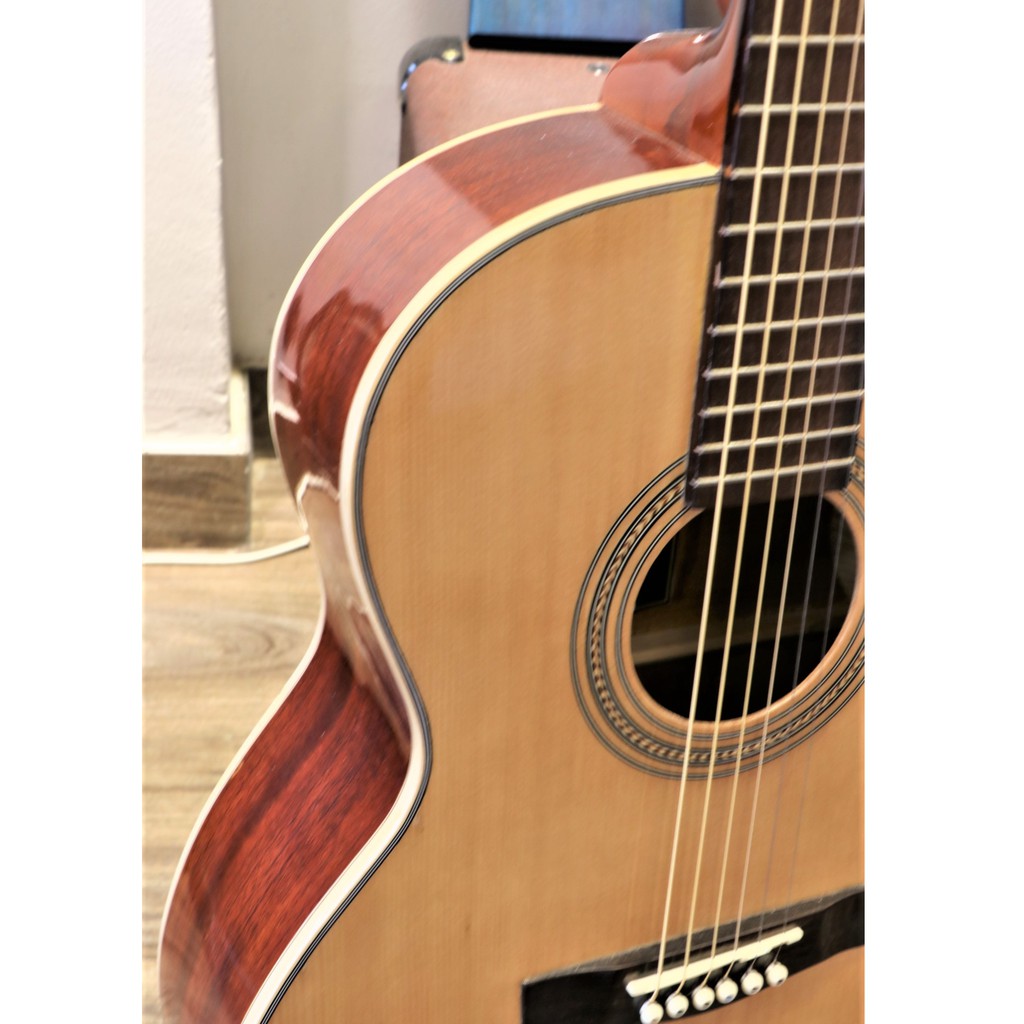 Guitar Acoustic HD-199