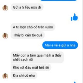 Dac tri  ve, bọ, rận top 1