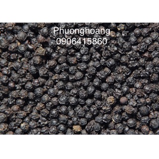 TIÊU HẠT NHÀ TRỒNG GIỐNG TIÊU SẼ HẠT NHỎ