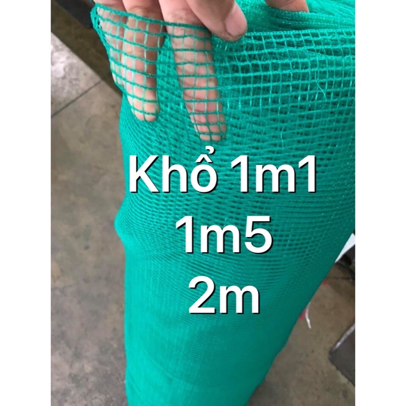 Lưới Gân Xanh Rào Gà Vịt Trẻ Em khổ 1m1 1m5 2ma