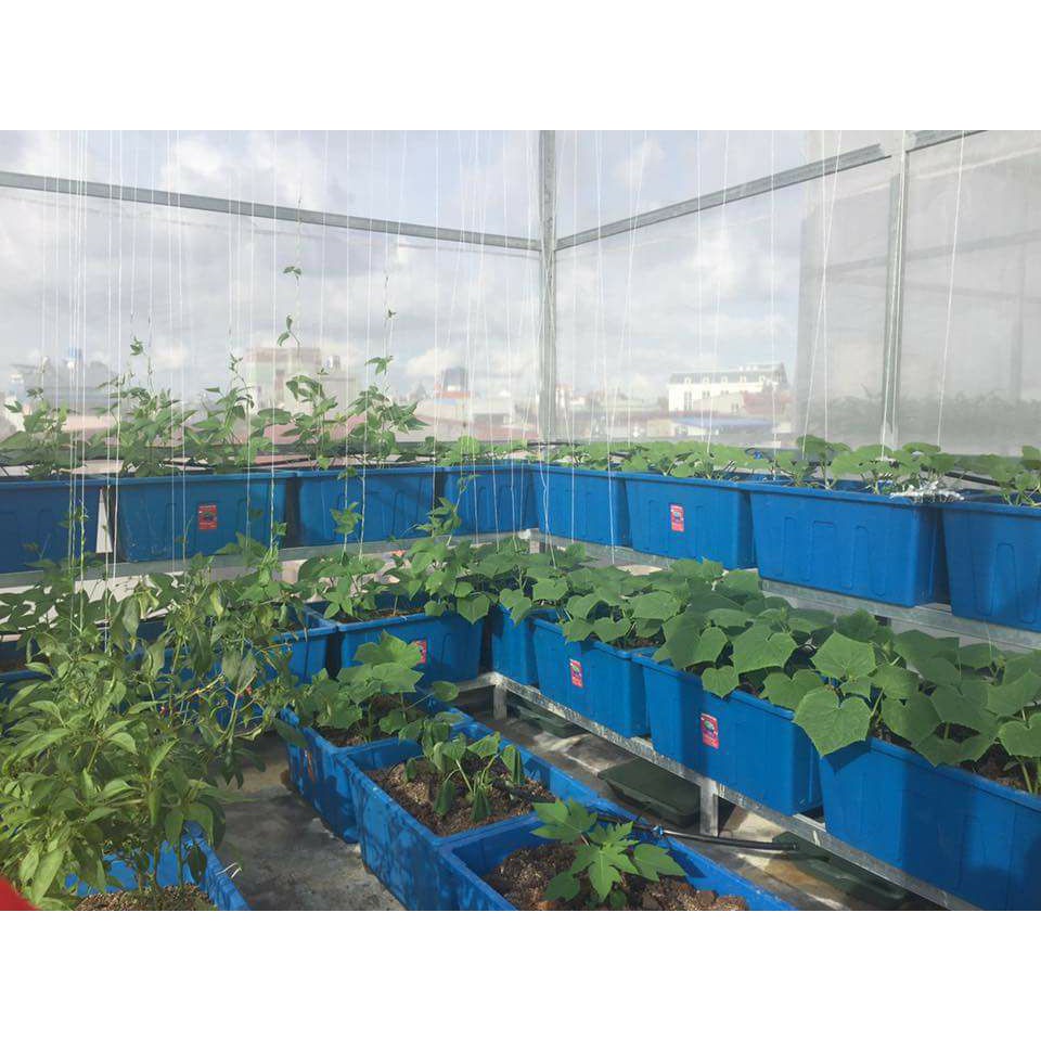 Khay trồng rau sạch cao cấp thùng 70 lít khay dùng cho hệ thống Aquaponics