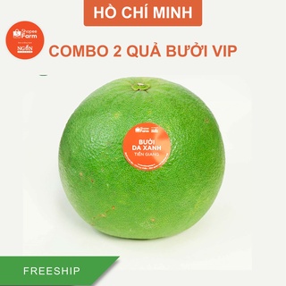 [HCM] Hộp 2 Quả Bưởi Vip Da Xanh Vườn Lão 20 Năm Tuổi - Shopeefarm