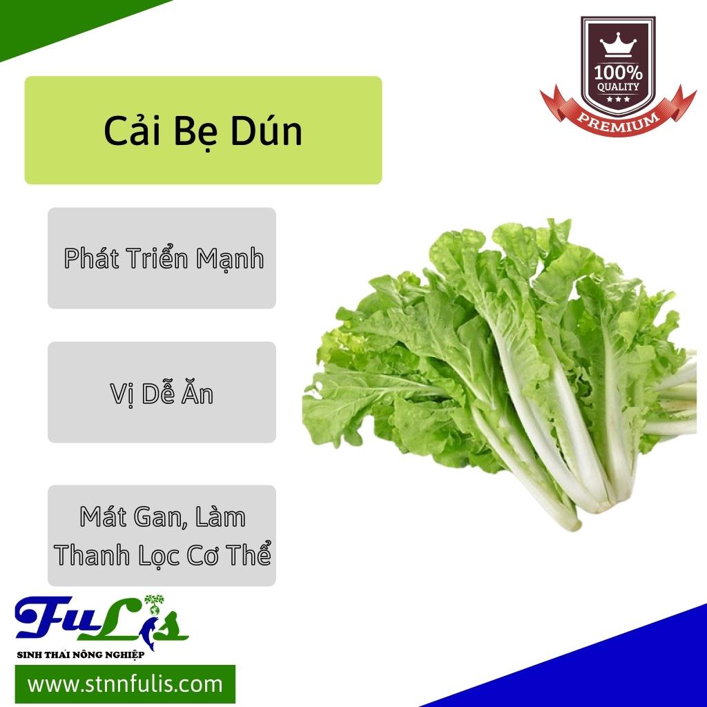 Hạt Giống Cải Rổ - Cải Bẹ Dún - Dễ Trồng Và Ít Sâu Bệnh Hại - stnnfulis